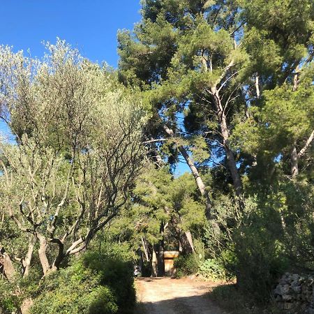 Appartamento Les Pins Le Castellet  Esterno foto